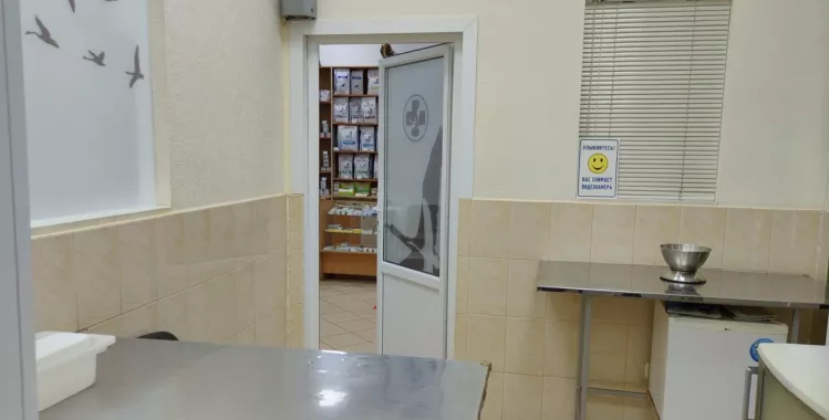 Сеть ветеринарных центров малотравматичной хирургии и комплексного восстановления "Лебеди"