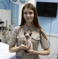 Миниатюра 8