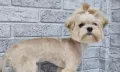 Миниатюра 9
