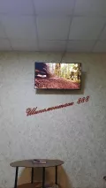 Миниатюра 5