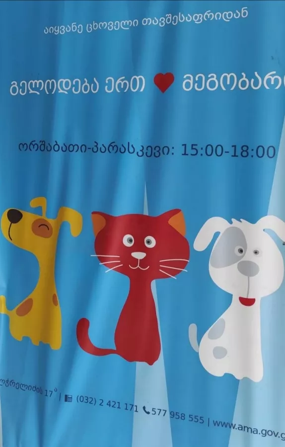 ცხოველთა მონიტორინგის სააგენტოს თავშესაფარი (Муниципальный приют для животных) в Тбилиси: Приют Для Животных, Помощь Животным, Ветеренары,