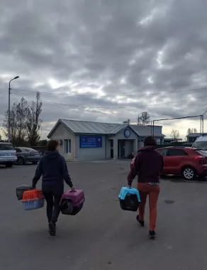 ცხოველთა მონიტორინგის სააგენტოს თავშესაფარი (Муниципальный приют для животных)