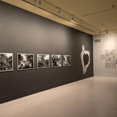 Художественная галерея "Antalya Culture and Arts"