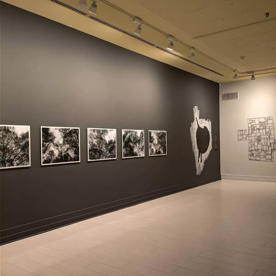 Художественная галерея Antalya Culture and Arts в Анталии: Отдых, Галерея, Искусство, Культура, Художник,