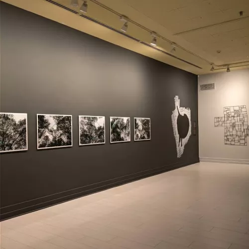 Художественная галерея Antalya Culture and Arts в Анталии