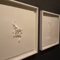 Миниатюра 13