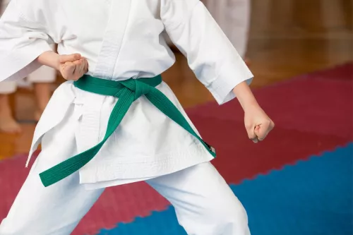 Каратэ Akdeniz Kaplanlari Karate Ihtisas Spor Kulübü в Анталии
