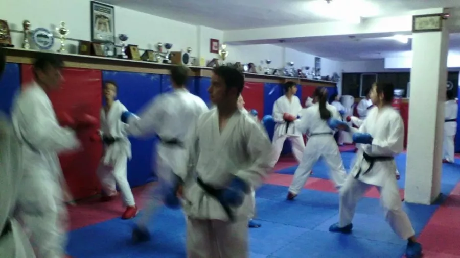 Каратэ Akdeniz Kaplanlari Karate Ihtisas Spor Kulübü в Анталии: Каратэ, Школа каратэ, Развиваться, Для детей,