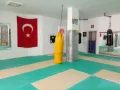 Миниатюра 4