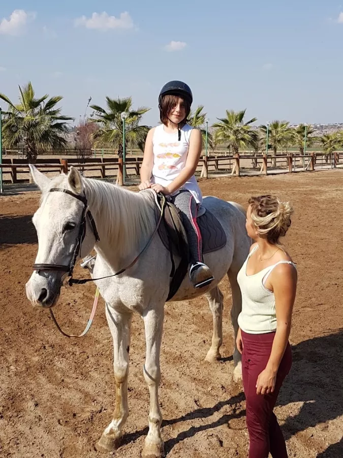 Конный клуб Antalya Riding and Equestrian Club в Анталии: Развитие, Хобби,