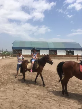 Конный клуб "Antalya Riding and Equestrian Club"