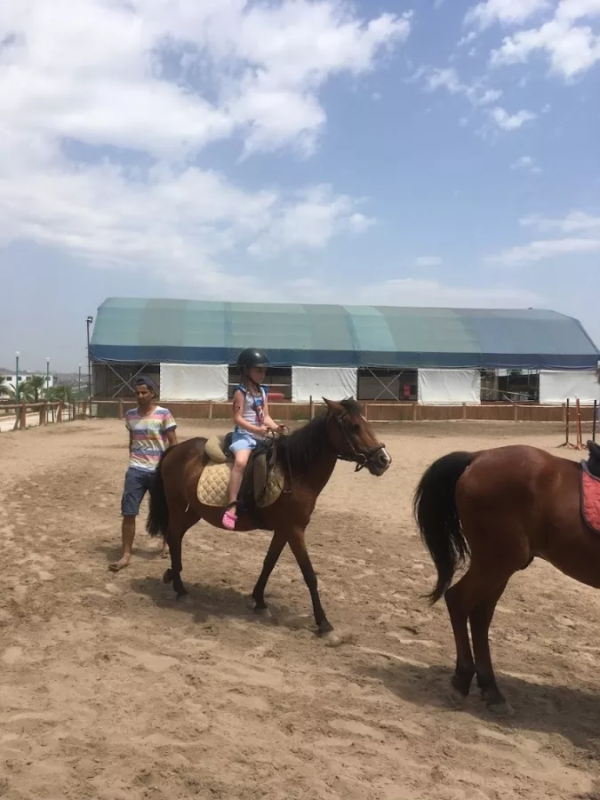 Конный клуб Antalya Riding and Equestrian Club в Анталии: Развитие, Хобби,