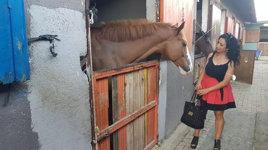 Конный клуб Antalya Riding and Equestrian Club в Анталии: Развитие, Хобби,