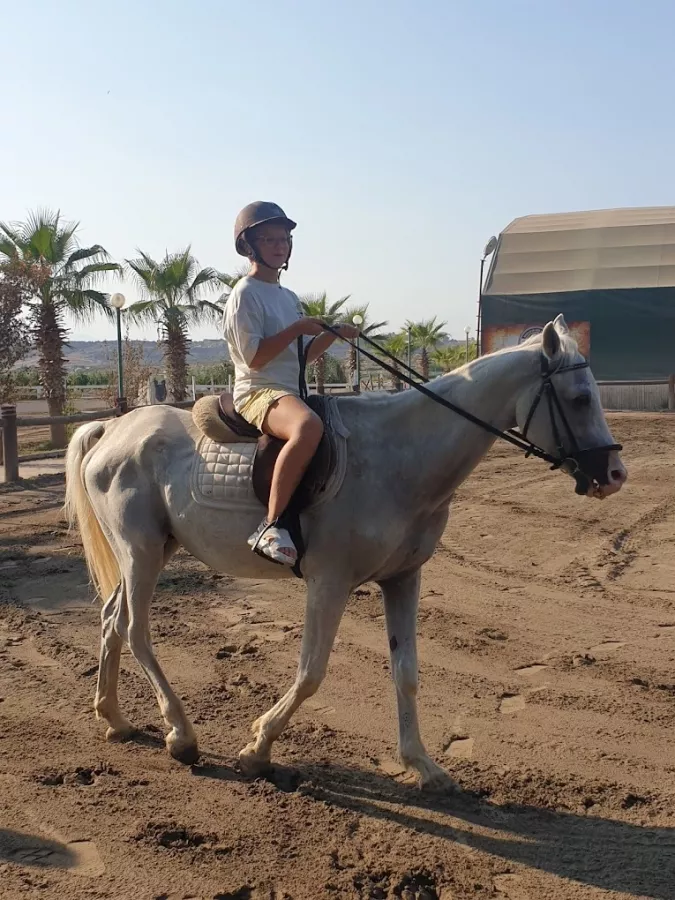 Конный клуб Antalya Riding and Equestrian Club в Анталии: Развитие, Хобби,