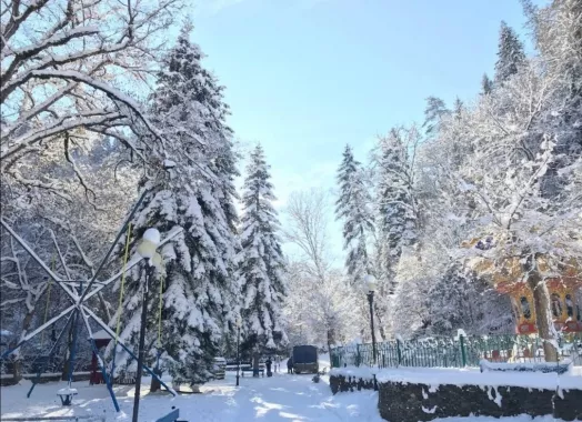 Турагенство "Friendly.ge"(ტურისტული სააგენტო "Friendly.ge ")