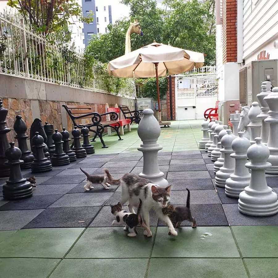 Музей игрушек Istanbul Toy Museum в Стамбуле: Музеи Мира, С детьми, Игрушки,