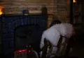 Миниатюра 10