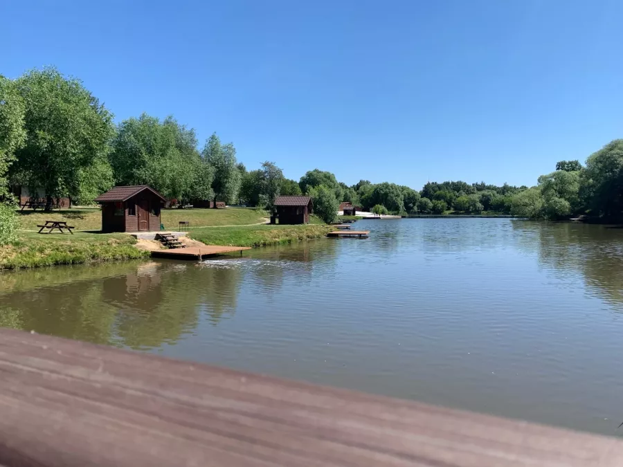 Рыболовный клуб Белый карп в Москве: Рыба, Рыболовный Клуб, Рыбалка, Чилим,