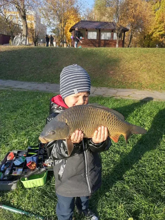 Рыболовный клуб Белый карп в Москве: Рыба, Рыболовный Клуб, Рыбалка, Чилим,