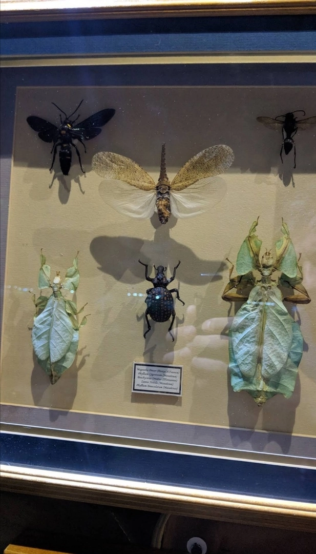 Зоопарк "Fauna Land" (ზოოპარკი "ფაუნა მიწა")