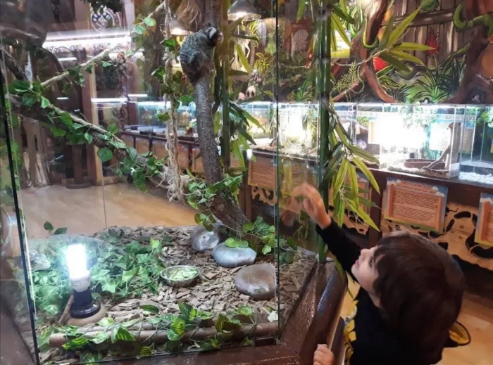 Зоопарк "Fauna Land" (ზოოპარკი "ფაუნა მიწა")