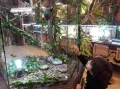 Миниатюра 11