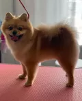 Миниатюра 5