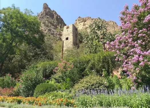 Тбилисский ботанический сад (თბილისის ბოტანიკური ბაღი)