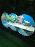 Миниатюра 14