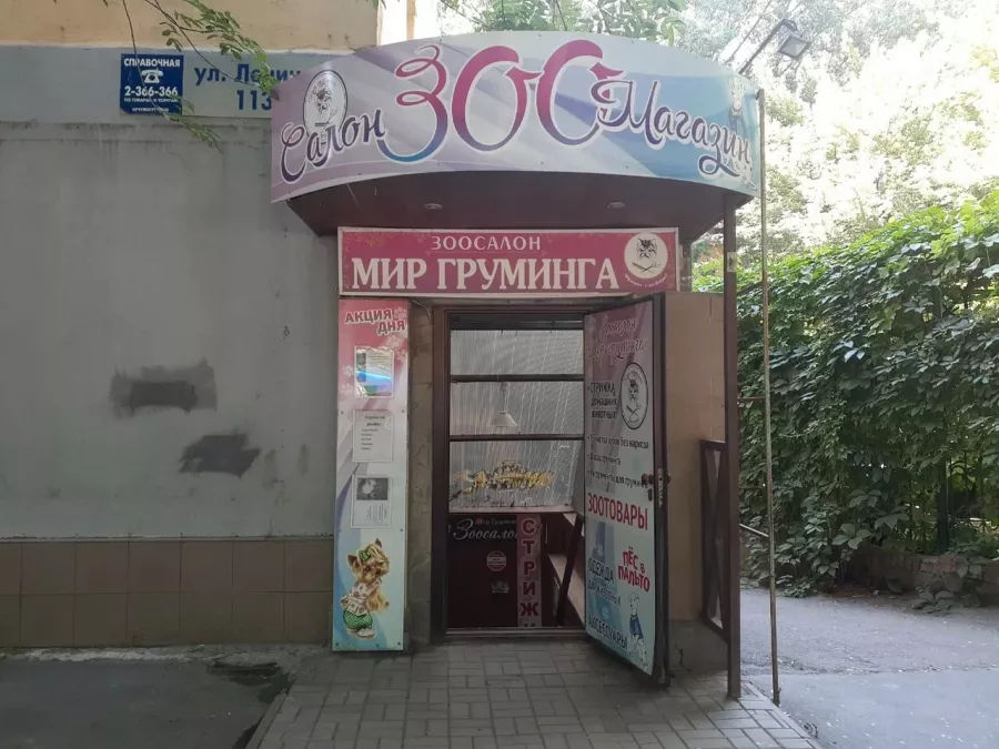 Зоосалон Мартин61 в Ростове-на-Дону: Зоосалон, Зоопарикмахерская, Любимцы, Стрижка животных,