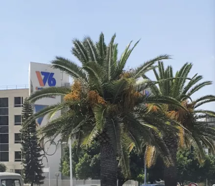 Медицинский центр "Vistahermosa76"