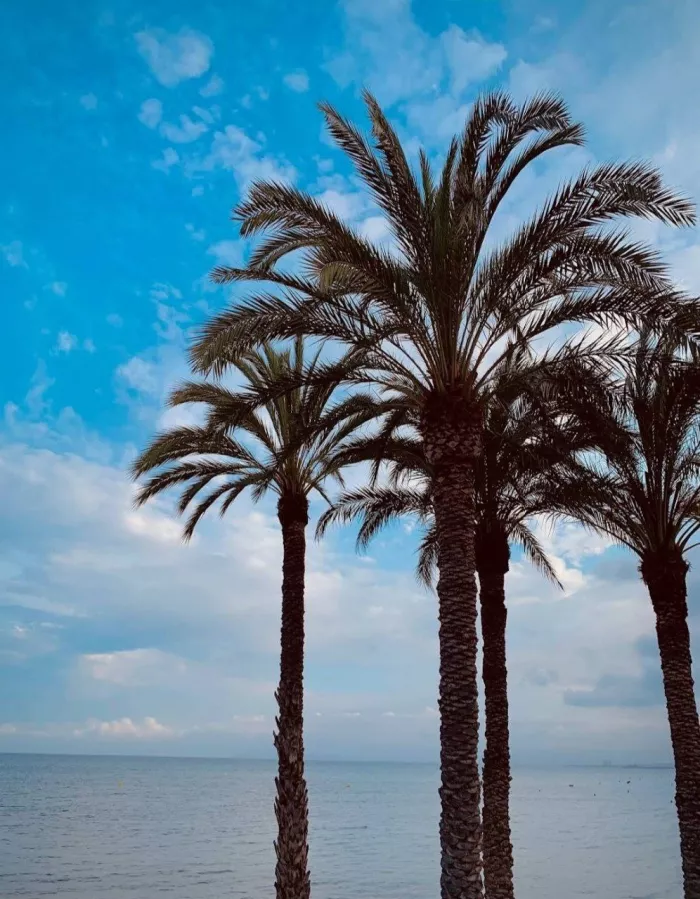 Пляж "Плайя де ла Альбуферета"