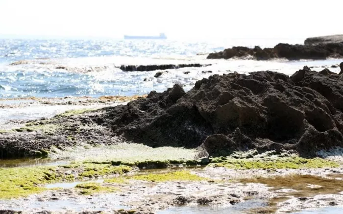 Пляж "Кабо де Лас Уэртас"