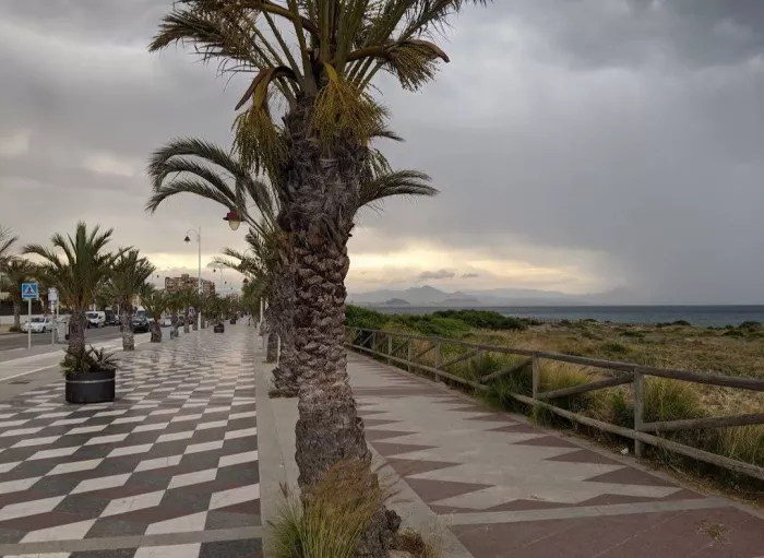 Пляж "Playa Elche"