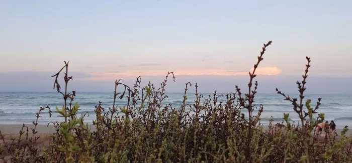 Пляж "Playa Elche"