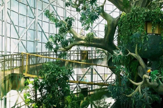 Зоологический музей "The Green Planet"