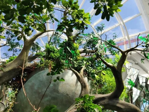 Зоологический музей "The Green Planet"