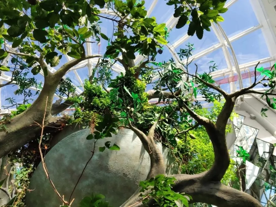 Зоологический музей The Green Planet в Дубаи: Музей, Природа, Фауна, Зоология, Зоологический музей, Флора, Растения, Любимцы,