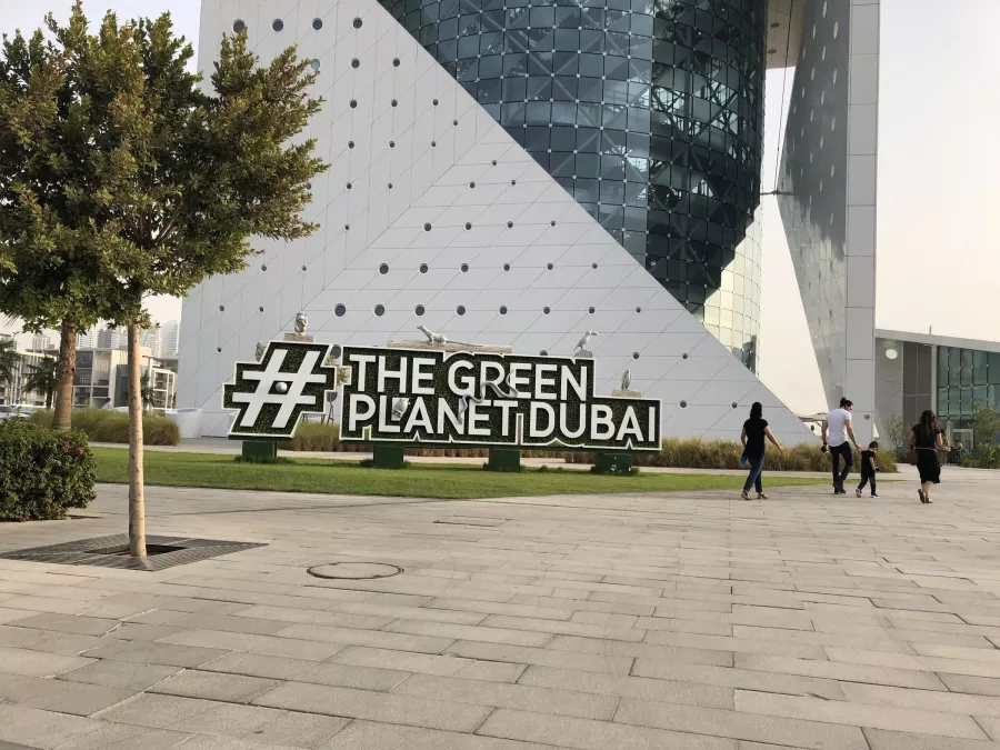 Зоологический музей The Green Planet в Дубаи: Музей, Природа, Фауна, Зоология, Зоологический музей, Флора, Растения, Любимцы,