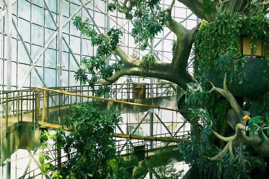 Зоологический музей The Green Planet в Дубаи: Музей, Природа, Фауна, Зоология, Зоологический музей, Флора, Растения, Любимцы,