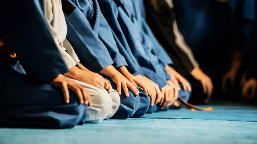 Школа Айкидо Antalya Aikido Sakura Dojo в Анталии: Школа, Развитие, Айкидо, Игры,