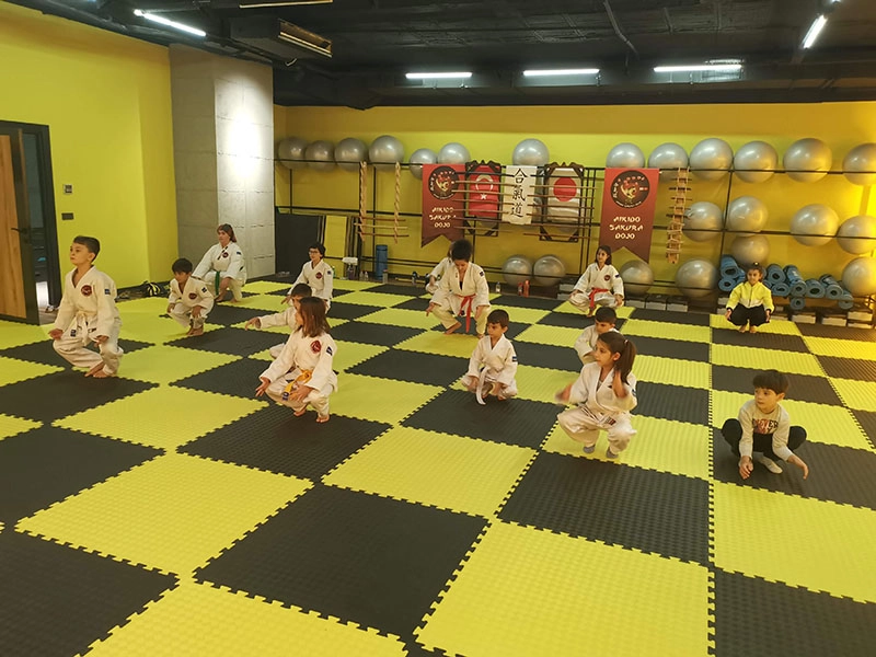 Школа Айкидо Antalya Aikido Sakura Dojo в Анталии: Школа айкидо, Айкидо, Развиваться, Для детей,