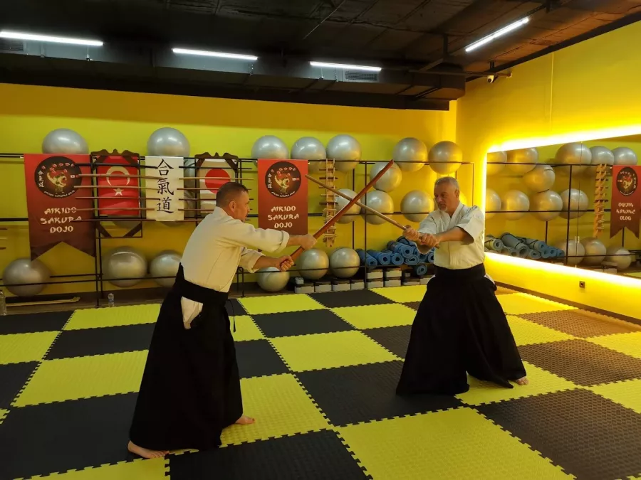 Школа Айкидо Antalya Aikido Sakura Dojo в Анталии: Школа айкидо, Айкидо, Развиваться, Для детей,