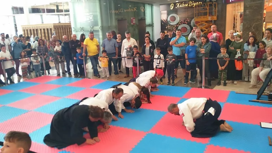 Школа айкидо Aikido Aikizen Dojo в Анталии: Школа айкидо, Айкидо, Развиваться, Для детей,