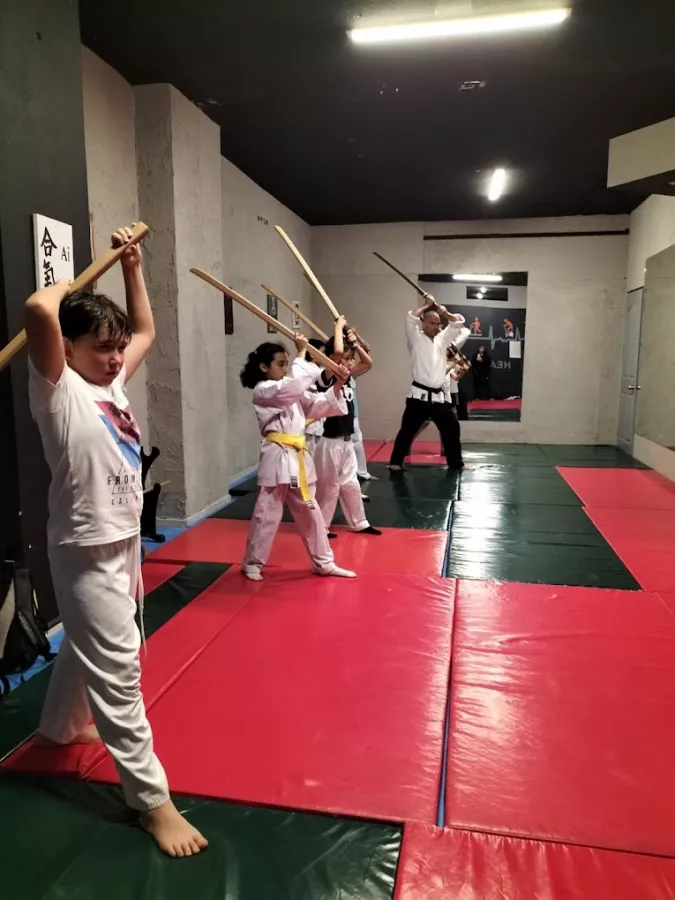 Школа айкидо Aikido Aikizen Dojo в Анталии: Школа айкидо, Айкидо, Развиваться, Для детей,