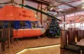 Миниатюра 8