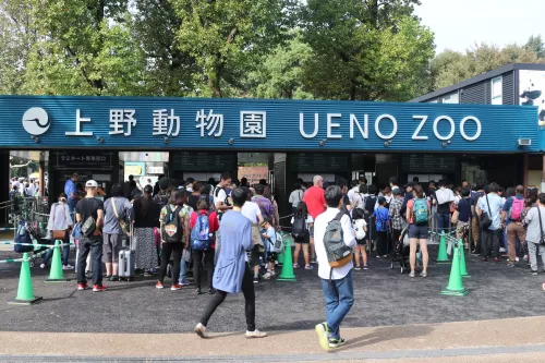 Зоопарк  - Уэно  в  Токио
