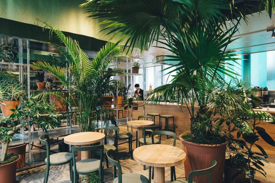 Кофейня - Switch Coffee Tokyo K5 в Токио: Кофейня, Ресторан,