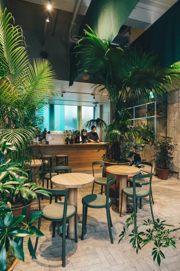 Кофейня - Switch Coffee Tokyo K5 в Токио: Кофейня, Ресторан,