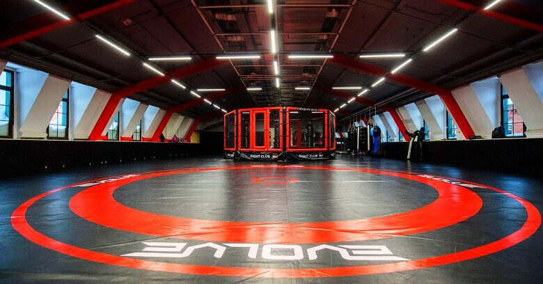 Спортивный клуб Evolve Gym в Москве: Спортивный клуб, Секция бокса, Секция карате, Плавание, Спортивная гимнастика, Кроссфит, Фитнес-клуб,